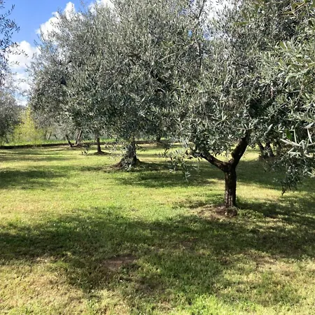 Toscana *