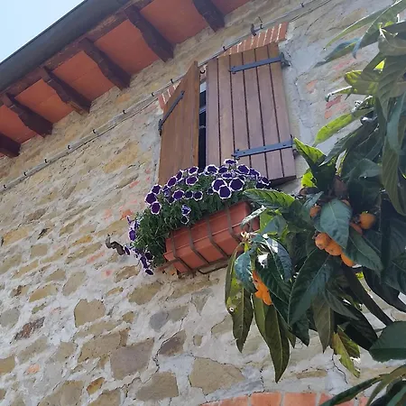 Cocomeraio In Tuscany Casa Di Campagna Agriturismo Loro Ciuffenna 4*